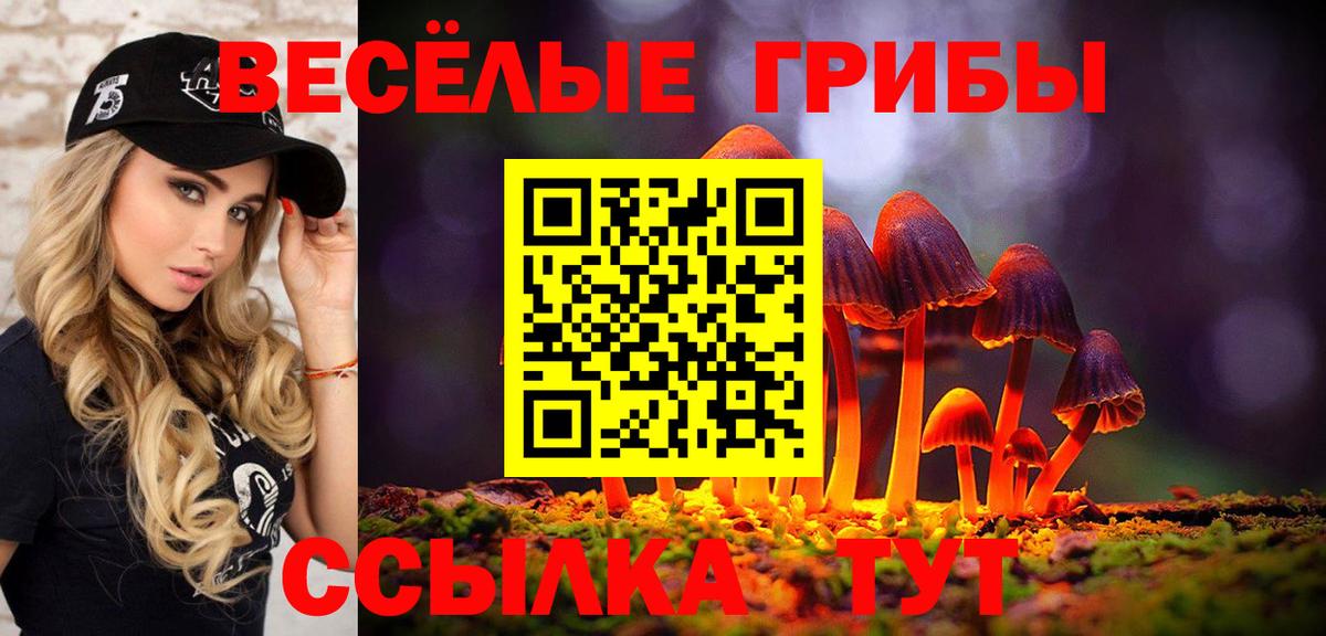 Псилоцибиновые грибы GOLDEN TEACHER  Вход с VPN  Шадринск  Галлюциногенные грибы мицелий 